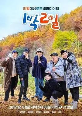 奔跑吧 综艺 2025 第13季